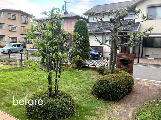 名称未設定のデザイン (4).jpg